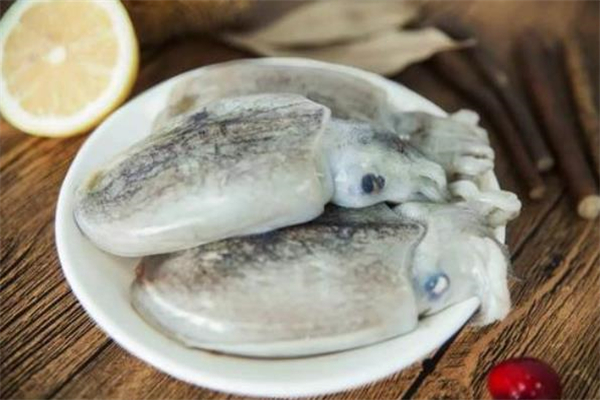 墨鱼什么时候吃最好,墨鱼一天吃多少合适 墨鱼什么时候吃最好,墨鱼一天吃多少合适