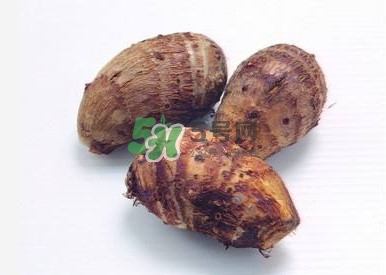 香芋是紫色的吗,香芋为啥是紫色的