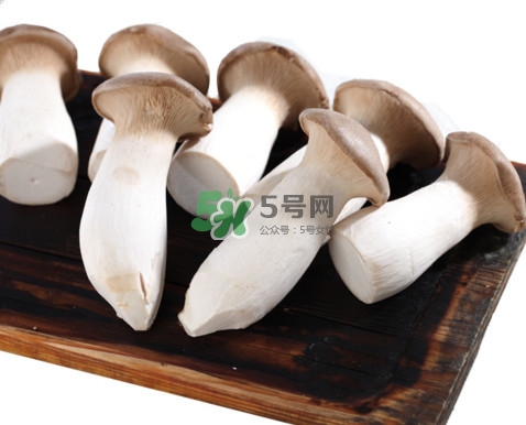 杏鲍菇有苦味可以吃吗,杏鲍菇发苦还能吃吗