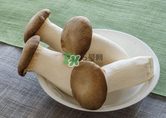 杏鲍菇怎么清洗干净,杏鲍菇怎么清洗农药残留 杏鲍菇怎么清洗干净,杏鲍菇怎么清洗农药残留