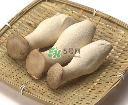 杏鲍菇用水焯吗,杏鲍菇用水焯一下吗