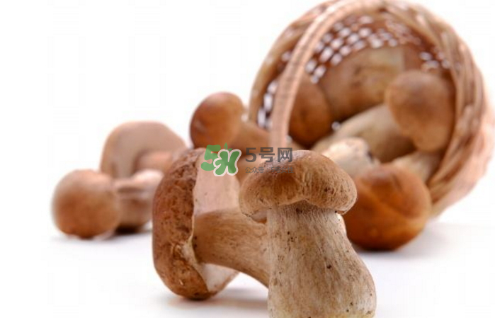 新鲜蘑菇能放冰箱吗,蘑菇怎么保鲜 新鲜蘑菇能放冰箱吗,蘑菇怎么保鲜