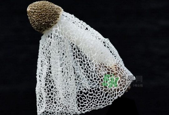 黄裙竹荪有毒吗,竹荪有毒吗?