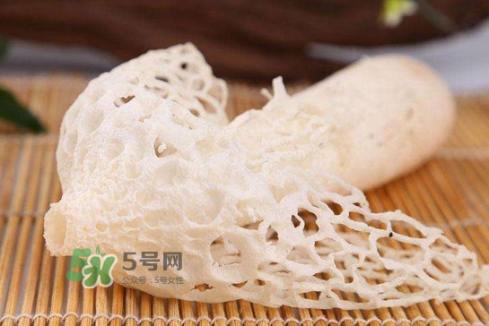 竹荪什么季节最多?竹荪的产地在哪里?,竹荪什么季节最多