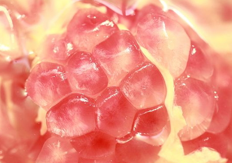 孕妇能不能吃石榴,石榴的好处,孕妇吃石榴的好处和禁忌 孕妇能不能吃石榴,石榴的好处,孕妇吃石榴的好处和禁忌