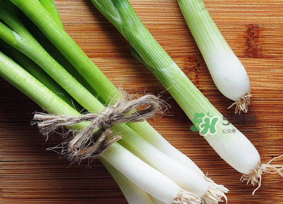 大葱可以放冰箱吗?,大葱可以放冰箱吗?大葱可以放多久? 大葱可以放冰箱吗?,大葱可以放冰箱吗?大葱可以放多久?