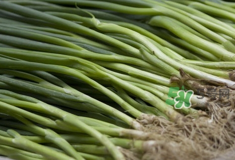 大葱有农药残留物吗,小葱农药残留多吗 大葱有农药残留物吗,小葱农药残留多吗