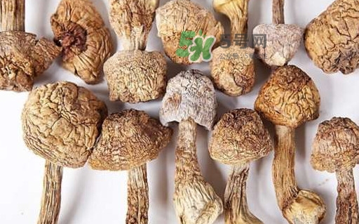 松茸的清洗方法,干松茸怎么清洗才干净