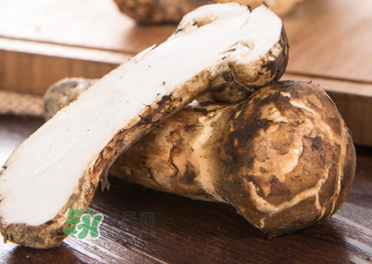 新鲜松茸怎么挑选才好,怎样挑选干松茸 新鲜松茸怎么挑选才好,怎样挑选干松茸