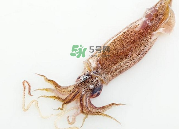 鱿鱼应该怎么做,冰冻鱿鱼要焯水吗