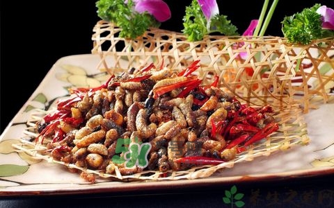 蜂蛹和什么一起泡酒好,蜂蛹酒的功效和作用,蜂蛹泡酒的功效