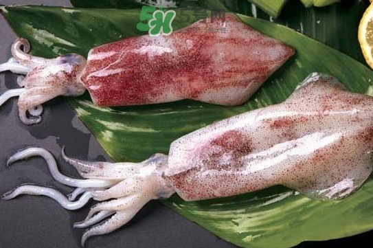 新鲜鱿鱼怎么处理干净,爆炒水发鱿鱼