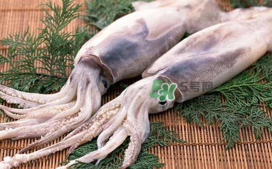 鱿鱼头怎么切,鱿鱼头怎么切比较好