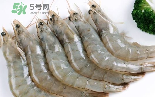 厄瓜多尔虾是海虾吗,厄瓜多尔虾是河虾还是海虾