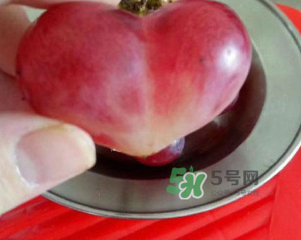 圆叶葡萄品种介绍,椭圆形葡萄是什么品种 圆叶葡萄品种介绍,椭圆形葡萄是什么品种