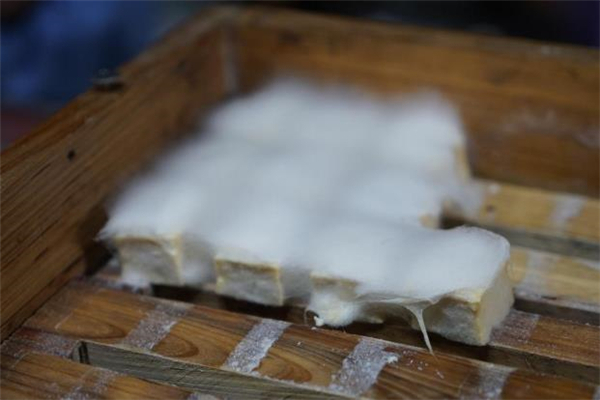 毛豆腐是哪里的特产,长毛豆腐是哪里的特产