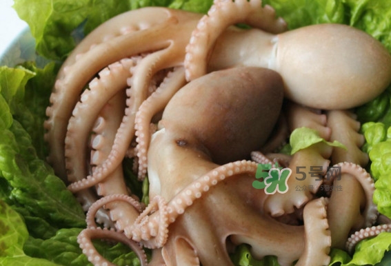 八爪鱼的头能吃吗 头里的墨汁能吃吗,八爪鱼的头能吃吗