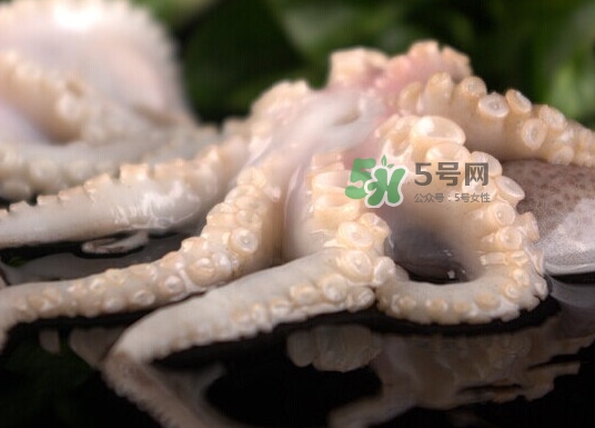 章鱼有几只脚正确答案,章鱼有几只脚?