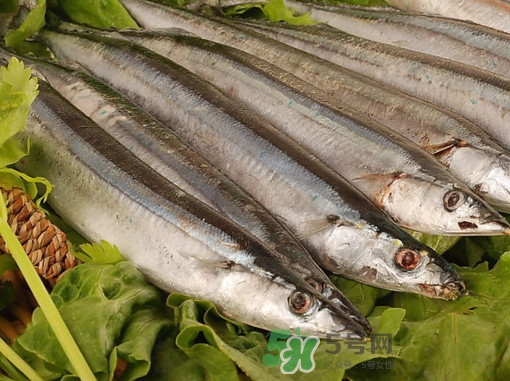 秋刀鱼价格为什么便宜,秋刀鱼为什么那么便宜?秋刀鱼的害处是啥?先了解一下