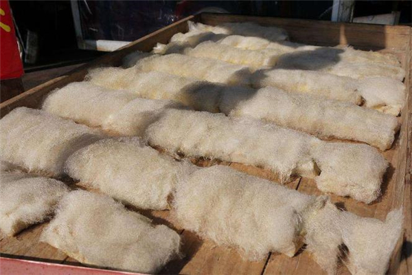 女人肾虚应该怎么办(女人肾虚怎么办该吃什么东西补啊)