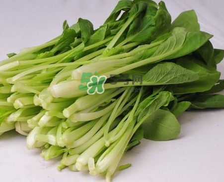 油菜如何保存,新鲜油菜的保存方法