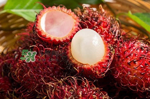 红毛丹能放多久,红毛丹怎么存放保鲜 红毛丹能放多久,红毛丹怎么存放保鲜