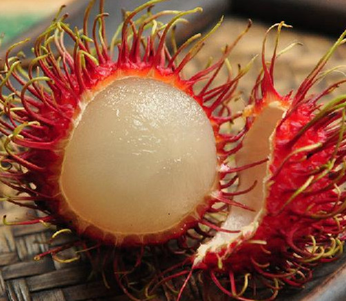 红毛丹是哪里的特产,红毛丹是哪里出产的水果