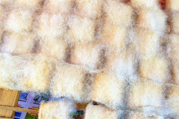 为什么毛豆腐可以吃,毛豆腐什么情况下不能吃