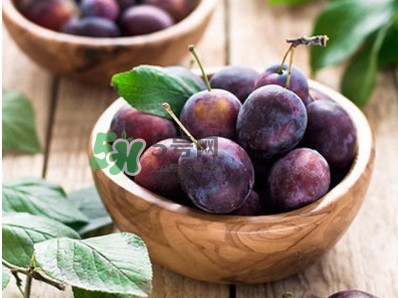 西梅不能和什么一起吃?,西梅不能和什么一起吃/同吃 食物相克大全