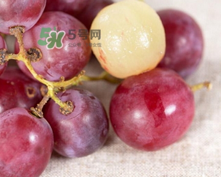 如何剥提子皮,提子的皮怎么剥皮 如何剥提子皮,提子的皮怎么剥皮