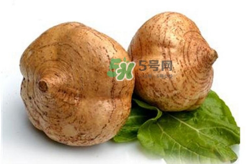 凉薯是水果吗?,凉薯属于水果吗