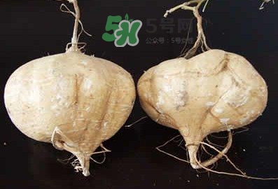 凉薯是什么东西?,凉薯是什么东西是土豆吗