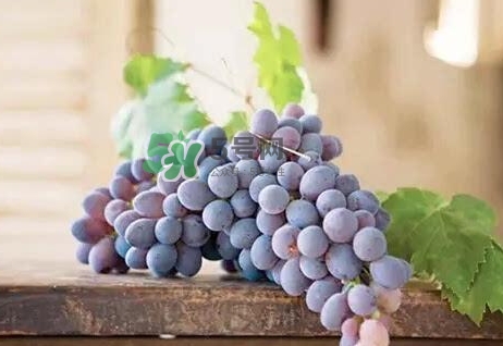 葡萄皮有什么营养和功效,葡萄皮的功效和作用及食用方法