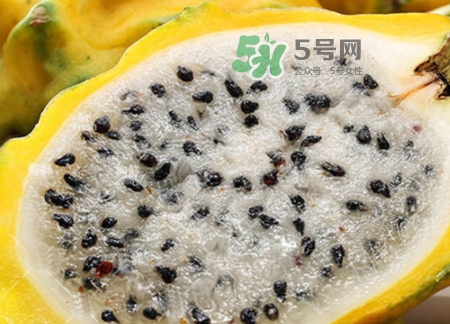 黄龙果的热量,一个红龙果的热量