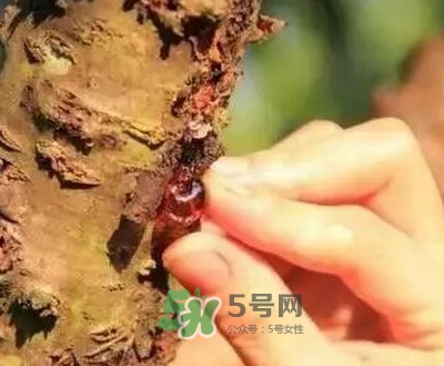 桃胶对人体有什么好处呢怎么吃呢,桃胶怎么煮好吃