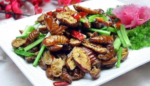 蝉蛹和蚕蛹的区别图片,蝉蛹和蚕蛹的区别功效