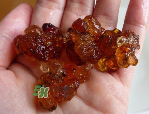 桃胶哪里有卖的,桃胶在哪里买比较正宗