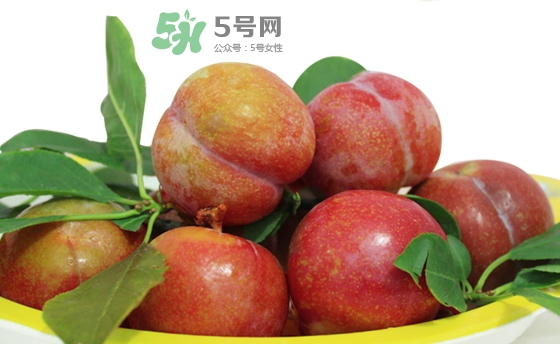 芙蓉李多少钱一斤,芙蓉李图片