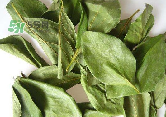 怎样制作柿子叶茶,柿子叶茶的制作方法