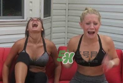 卡罗来纳死神辣椒,卡来罗呐死神辣椒