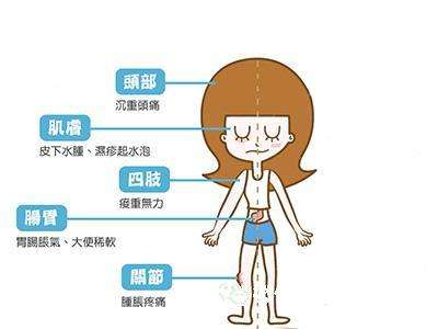 湿气重的食物和水果,湿气重的人怎么排湿吃什么水果