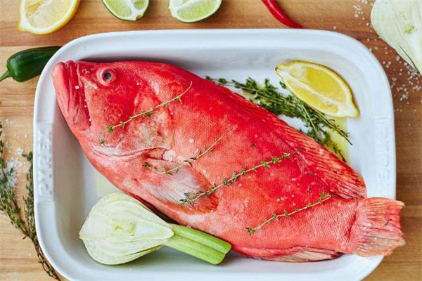 红石斑鱼有毒吗能吃吗,红石斑鱼