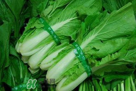 水白菜可以吃吗,水白菜可以生吃吗