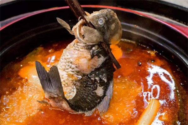 石斑鱼哪个部位最好吃,哪种石斑鱼最好吃