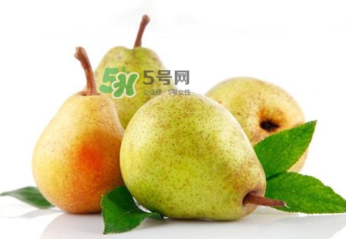 现在有什么水果是当季的,苹果和梨子是什么季节的水果