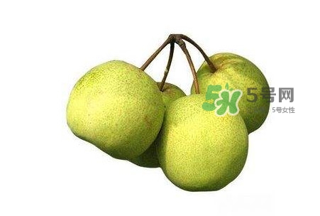 砀山梨和皇冠梨哪个好,砀山梨好吃还是皇冠梨好吃