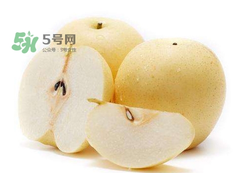 皇冠梨和雪花梨哪个好吃,雪花梨皇冠梨区别