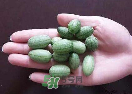 特培拇指西瓜怎么吃,拇指西瓜怎么吃才好吃 特培拇指西瓜怎么吃,拇指西瓜怎么吃才好吃