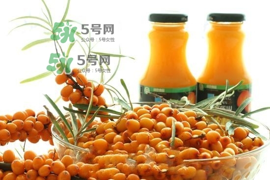 什么是沙棘有什么功效和作用,沙棘的功效有哪些