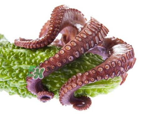 八爪鱼怎么吃和处理方法,八爪鱼怎么处理